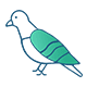 bird dropping